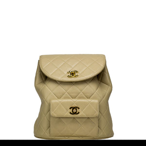 Chanel COCO HANDLE LIMITED EDITION Brown Beige Leather Exotic